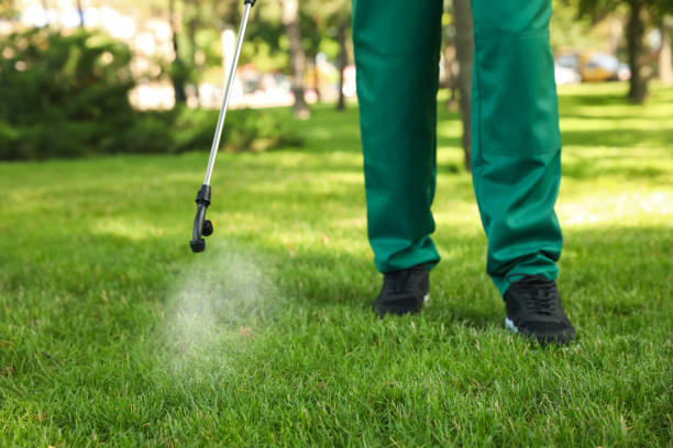 Best Best Pest Control Companies  in Ciborne, LA