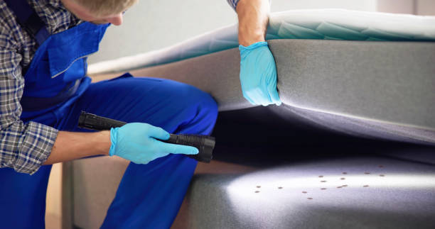 Best Insect Control  in Ciborne, LA