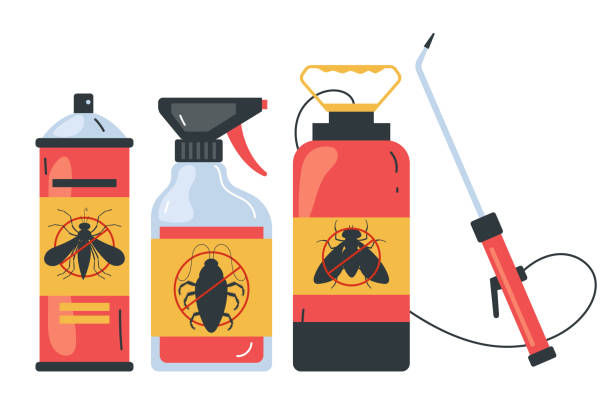 Best Wasp Removal Services  in Ciborne, LA