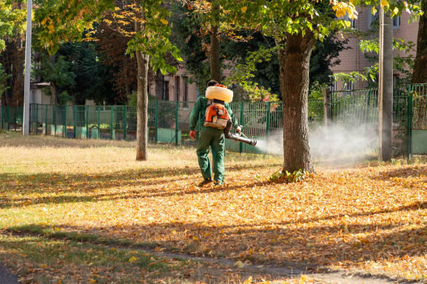 Best Commercial Pest Control Services  in Ciborne, LA