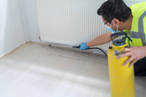 Best Bed Bug Extermination  in Ciborne, LA